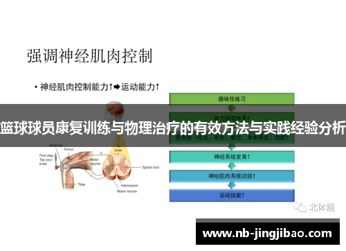 篮球球员康复训练与物理治疗的有效方法与实践经验分析