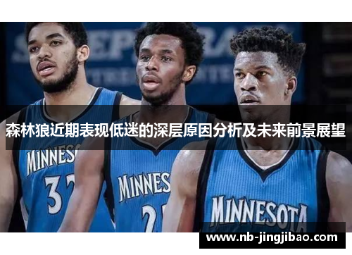 森林狼近期表现低迷的深层原因分析及未来前景展望