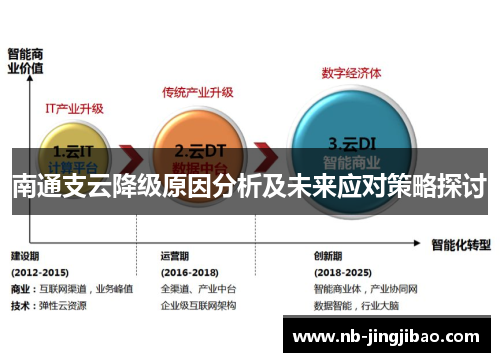 南通支云降级原因分析及未来应对策略探讨