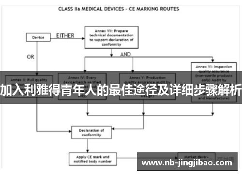 加入利雅得青年人的最佳途径及详细步骤解析