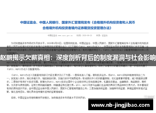 赵鹏揭示欠薪真相：深度剖析背后的制度漏洞与社会影响