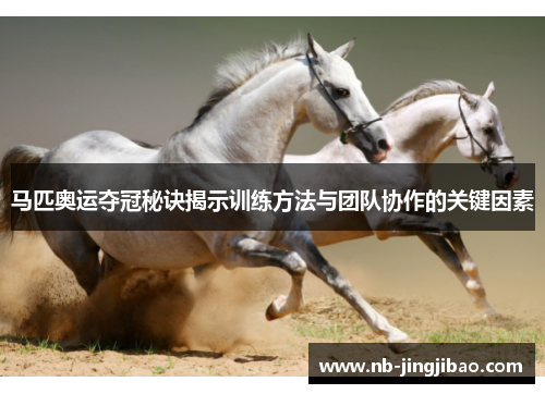 马匹奥运夺冠秘诀揭示训练方法与团队协作的关键因素