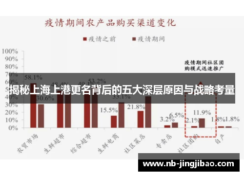 揭秘上海上港更名背后的五大深层原因与战略考量