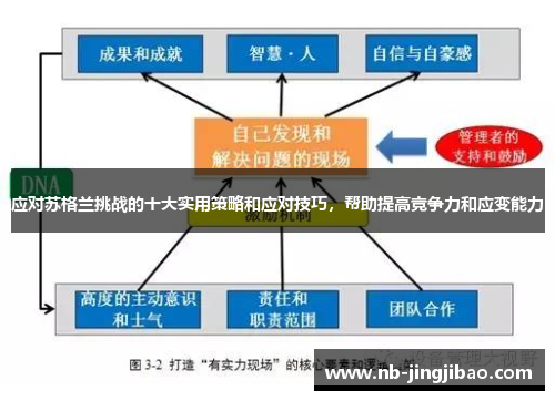 应对苏格兰挑战的十大实用策略和应对技巧，帮助提高竞争力和应变能力