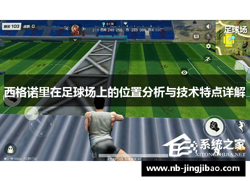 西格诺里在足球场上的位置分析与技术特点详解